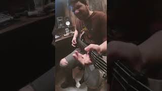 The Most Fun Song to Play on Guitar. Crunchy, Loud, & High-Energy!